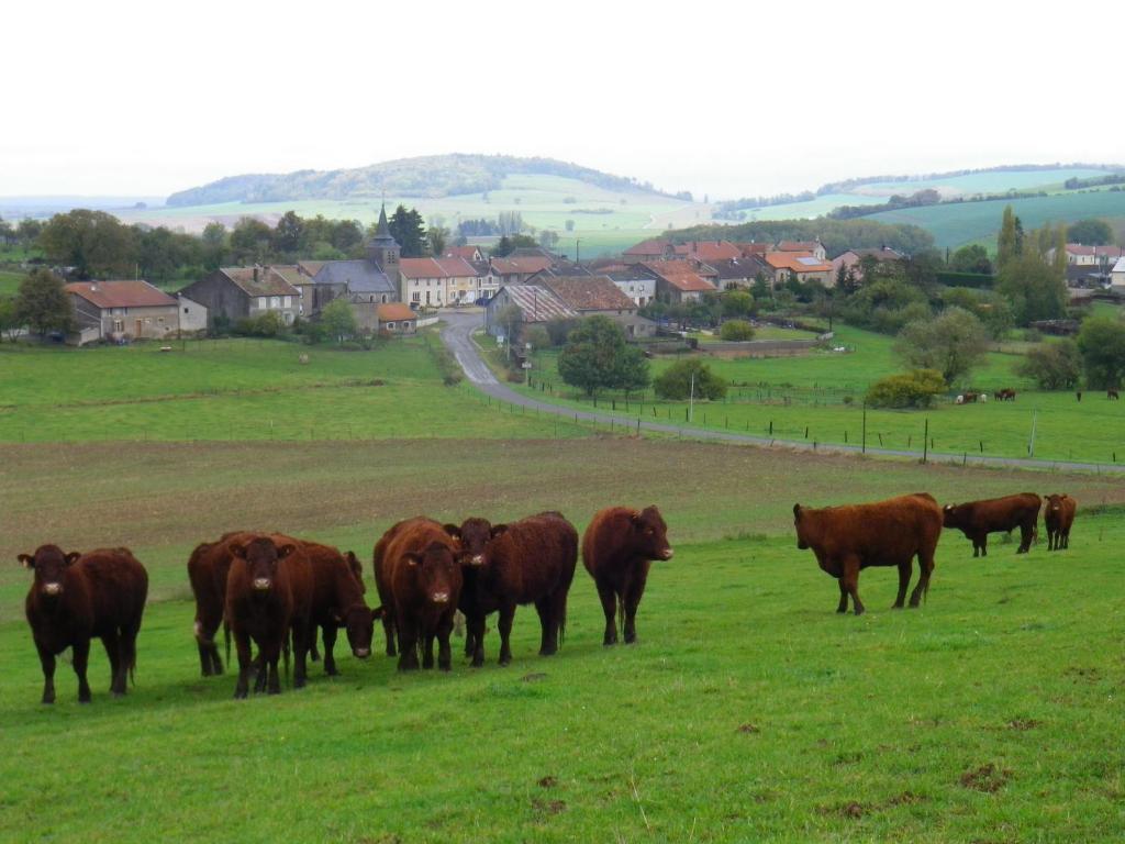 Chambre D'Hotes La Ferme Du Vallon Moirey Extérieur photo